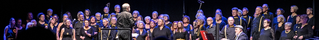 Banner: Get Joy Chor in Aktion bei Konzerten und Events